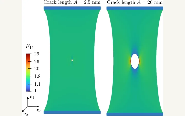 Delayed-fracture specimen and response curves under a held load
